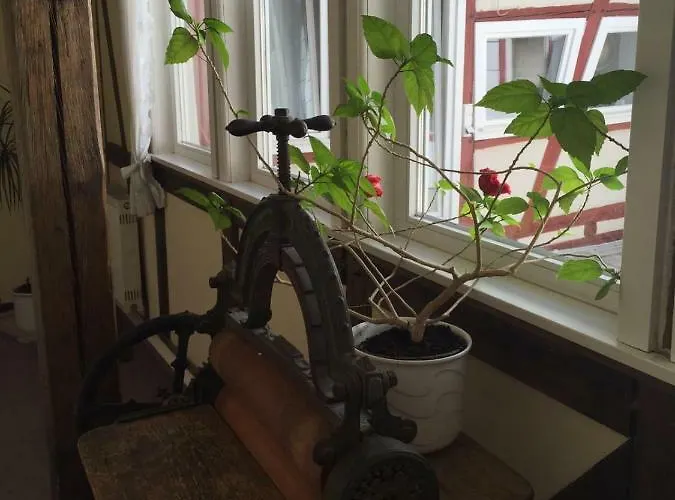 Alte Posthalterei Otel Creuzburg